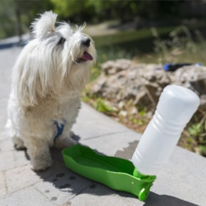 Bebedouro Pet Drinks portátil para cães e gatos Bebedouro Pet Drinks portátil para cães e gatos