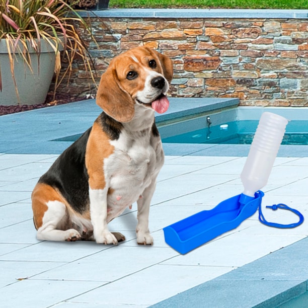 Bebedouro pet portátil para cães e gatos