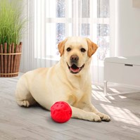 Produto Brinquedo bola porta petiscos Macaquinho G Pet Games para cães