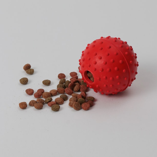 Brinquedo Pet Força com Bola de Tênis