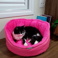 Produto Cama Cat Confort Alice para gatos super macia e confortável