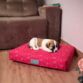 Conheça as melhores camas para cachorro de 2023
