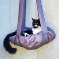 Cama Trapeze suspensa para gatos com almofada para ele dormir
