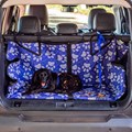 Capa pet impermeável MULTI PREMIUM para levar cães no carro (+ porta malas)