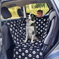 Capa pet impermeável PLUS PREMIUM 75cm para levar cães no carro