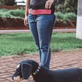 Cartucheira de cintura Walk para adestramento e passeio com cães