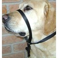 Coleira cabresto Correction antipuxão para cães