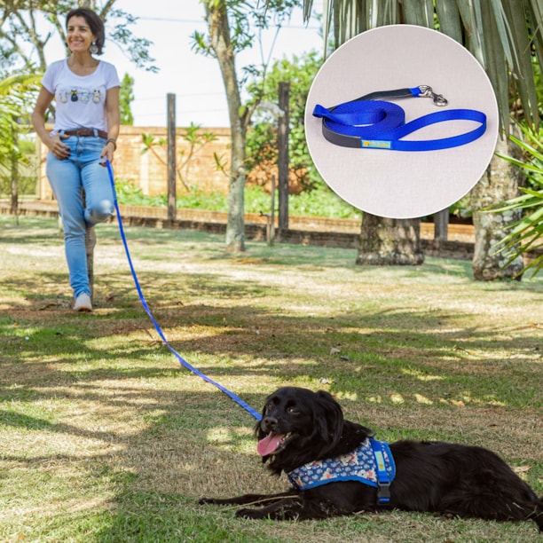 Guia Longa de Treino