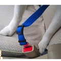 Guia para cinto de segurança Safe Travel para levar cães no carro