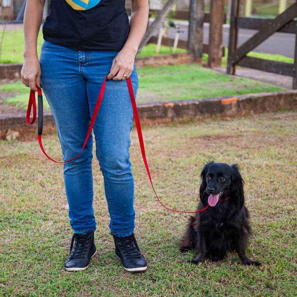 Guia Unificada para cães em fita 1,95m para treino ou passeio