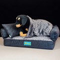 Kit Cama pet Soft Confort com Edredom e Almofada para cachorros