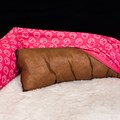 Kit Cama pet Soft Confort com Edredom e Almofada para cachorros