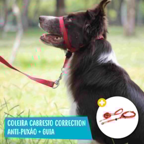 Kit passeio pet Coleira Correction anti puxão + Guia Classic Kit passeio pet Coleira Correction anti puxão + Guia Classic
