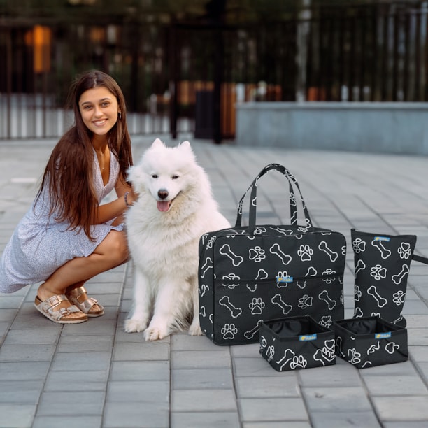 Kit Viagem Pet com Bolsa e Acessórios