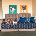 Manta Pet Luxo impermeável sob medida para cama ou sofá