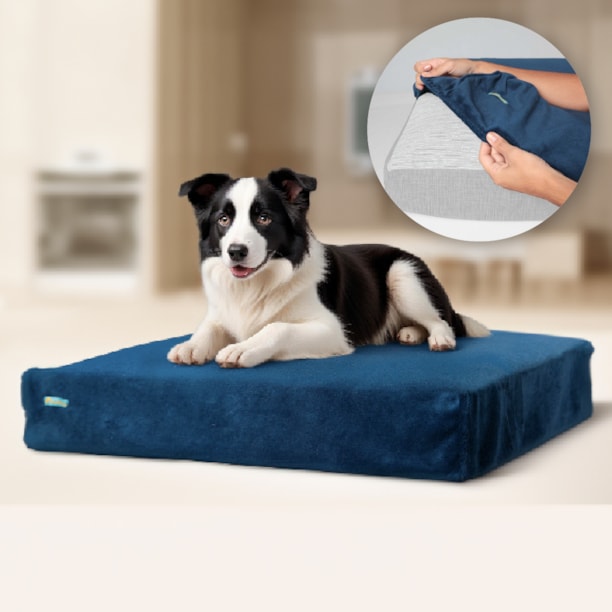 Manta Pet Plush com Elástico para Cama