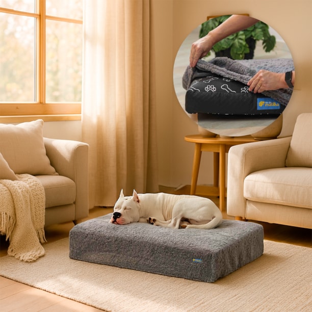 Manta Plush com Elástico