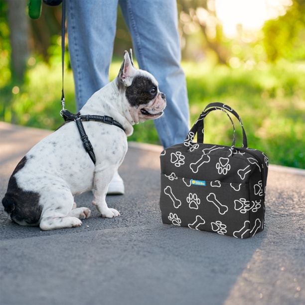 Mini Bolsa Pet para passeio ou viagem