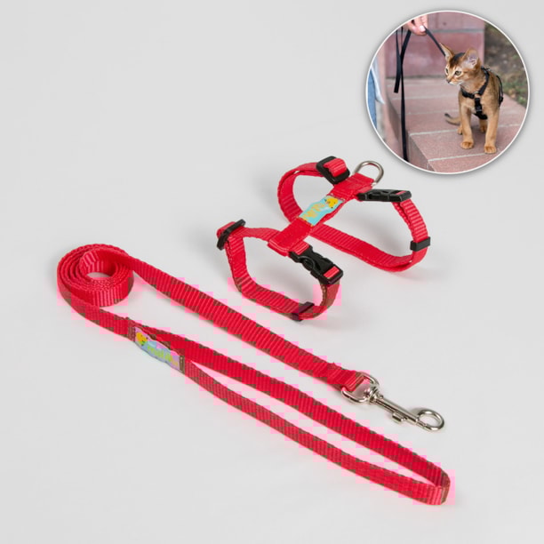 Peitoral Cat Walk — liberdade e segurança para o seu gato