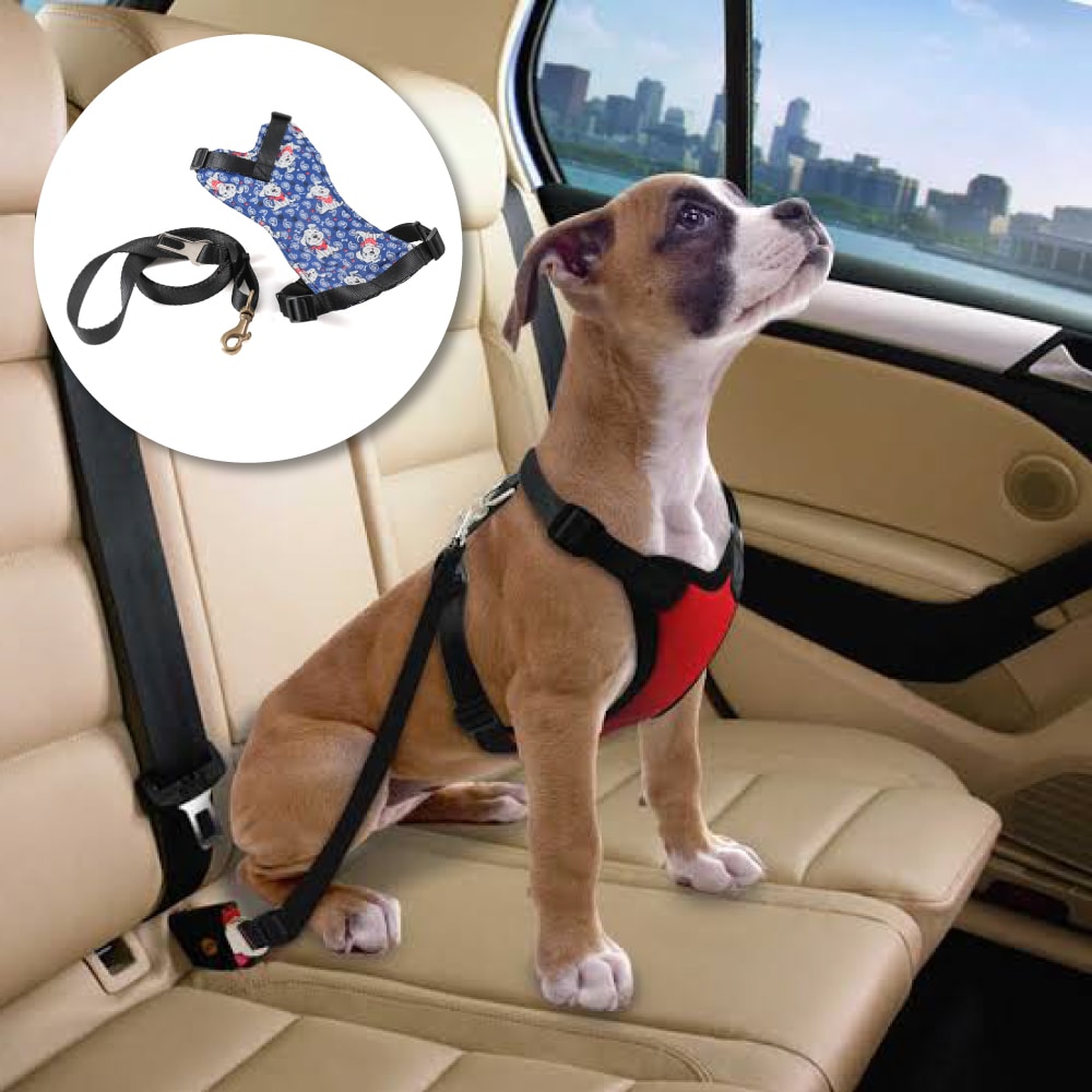 coleira para cachorro carro