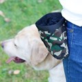 Porta petiscos Walk para uso na cintura para treino de cães