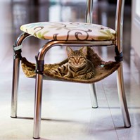 Produto Rede para gatos Confort Cat para uso em cadeiras